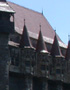 Castle of Hunedoara